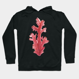 Single Coral Hoodie